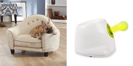 59 Geschenke für Hunde und Hundenarren