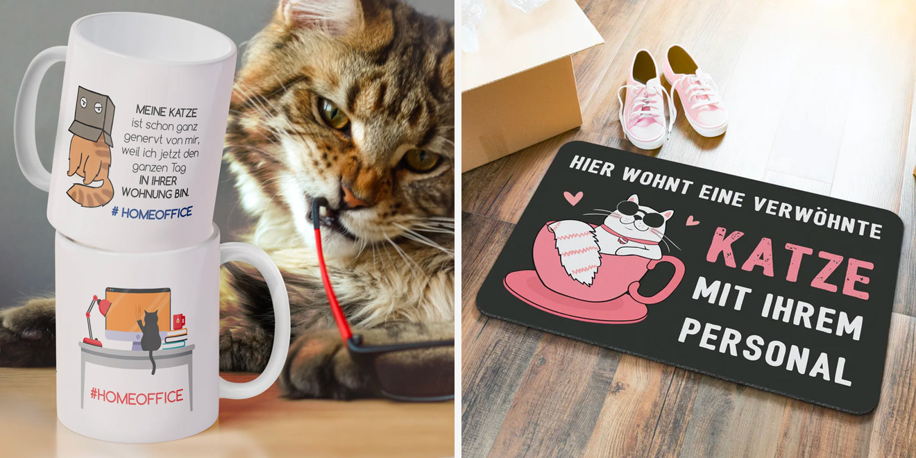 53 originelle Geschenke für Katzenfreunde (und ihre Katzen)