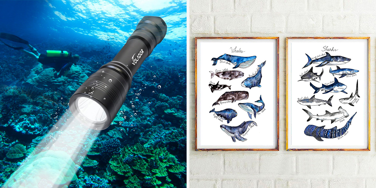 29 coole Geschenke für Taucher