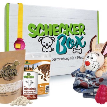 berraschungsbox fr Hunde - 60 Geschenke für Hunde und Hundenarren