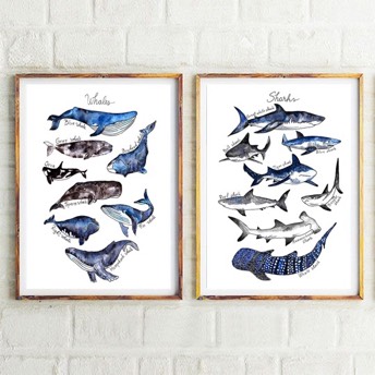 2 Kunstdrucke Wale Haie - 31 coole Geschenke für Taucher