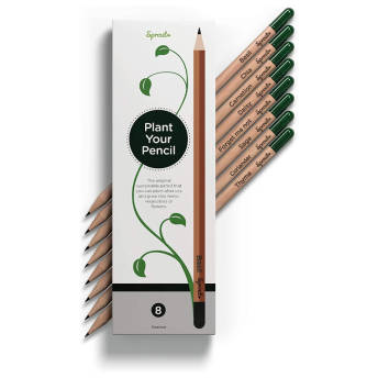 Nachhaltige Bleistifte mit Samenkapseln am Stiftende und  - 82 Geschenke für 15 bis 16 Jahre alte Jungen