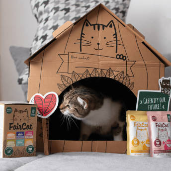 FairCat Katzenfutter Probierpaket mit Katzenhaus aus Karton  - 54 originelle Geschenke für Katzenfreunde (und ihre Katzen)
