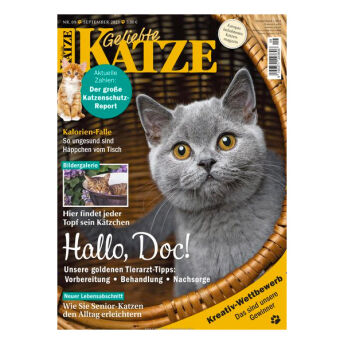 Geliebte KATZE im Geschenkabo - 52 originelle Geschenke für Katzenfreunde (und ihre Katzen)