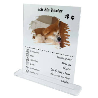Personalisiertes Acrylglas Haustier Quartett - 51 originelle Geschenke für Katzenfreunde (und ihre Katzen)
