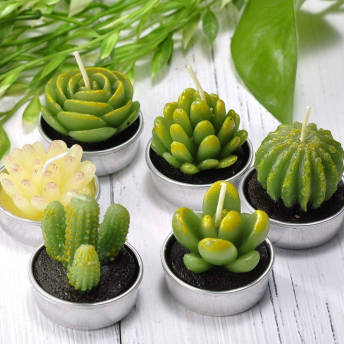 6 tlg Sukkulenten Kerzen Geschenkset - Coole Kaktus Geschenke