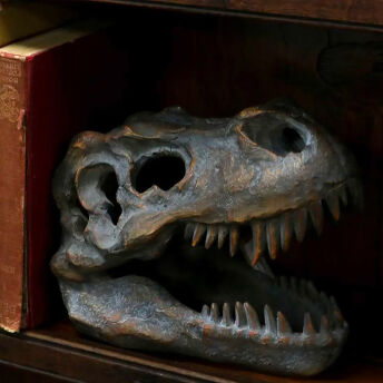Nachbildung eines Tyrannosaurus RexSchdels - 57 originelle Dino Geschenke für kleine und große Dinosaurier Fans