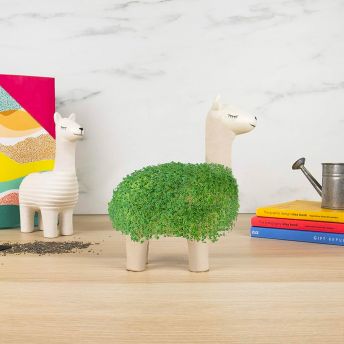 Lama Pflanztier aus Keramik - Für Fans der flauschigen Vierbeiner: 20 coole Lama Geschenke