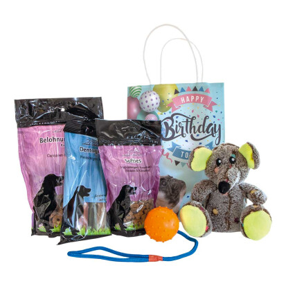 Geburtstagstte fr Hunde - 43 originelle Geschenke für Hundebesitzer (und ihre Hunde)