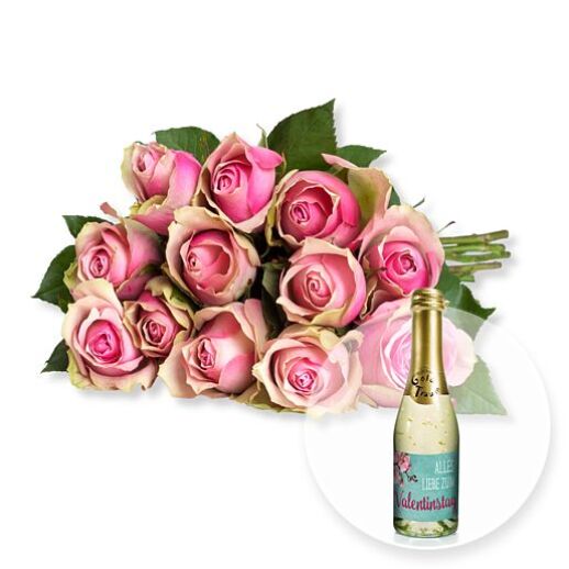 12 rosafarbene Rosen und Valentinstags-Piccolo