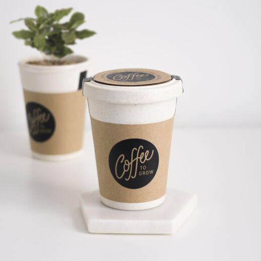 Coffee to Grow - Kaffee selbst anpflanzen