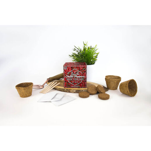 Extra-Scharfe Chillischote Set zum Selberzüchten