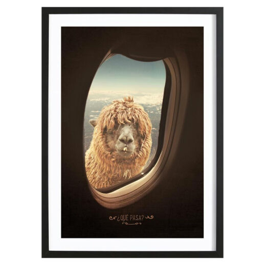 Cooler Lama Kunstdruck 