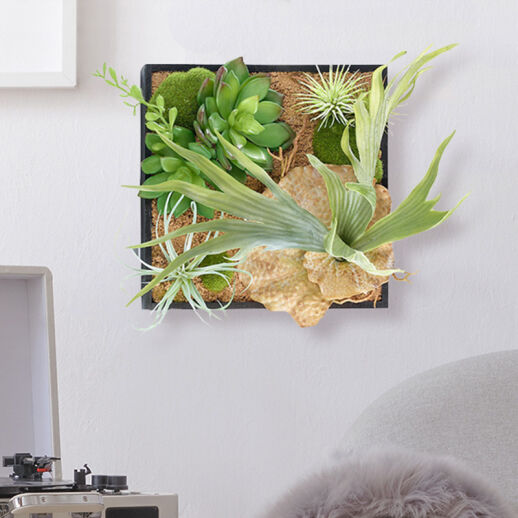 Immergrüner vertikaler Garten für die Wand