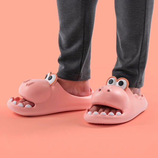 Dino Slippers
