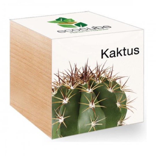 EcoCube Kaktus Pflanzwürfel