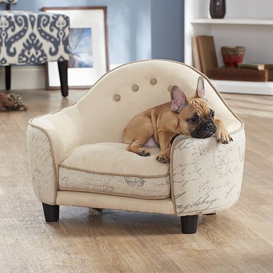 Stilvolles Hundesofa mit Kopfteil