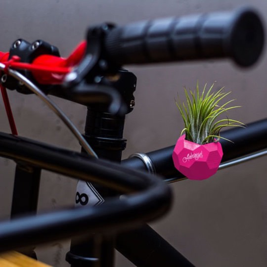 Minivase fürs Fahrrad