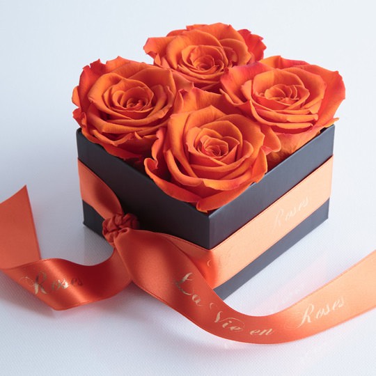 4 konservierte Rosen in attraktiver Geschenkbox