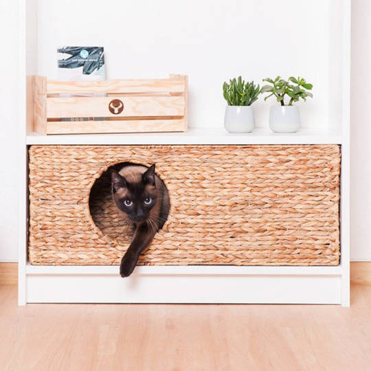 Katzenkörbchen für Billy Regale von IKEA