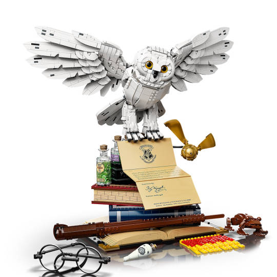 Hogwarts Ikonen – Sammler-Edition von LEGO (Seltenes Set)