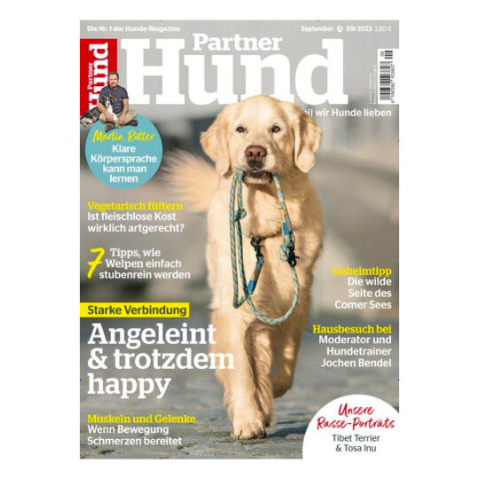 Zeitschrift 