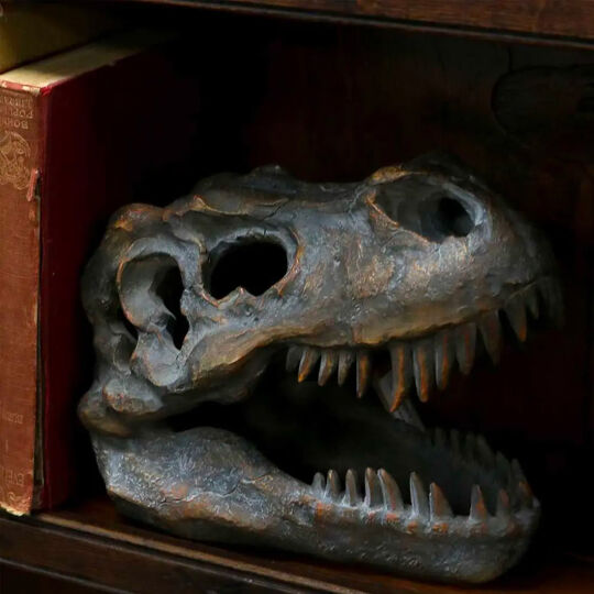 Nachbildung eines Tyrannosaurus Rex-Schädels